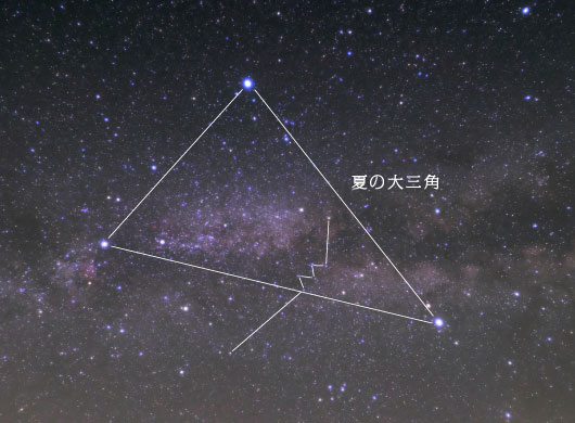 こぎつね座