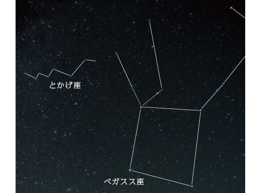 とかげ座
